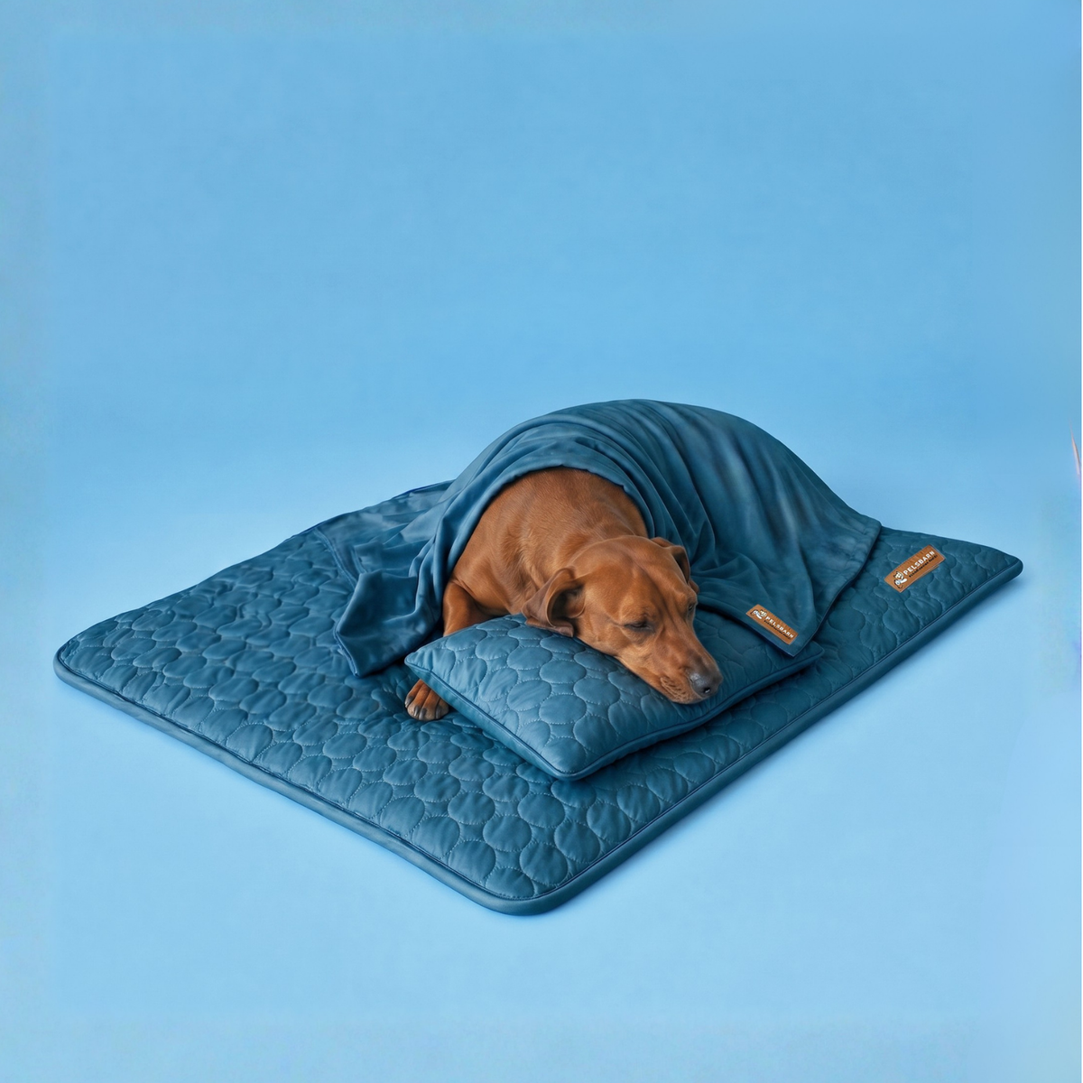 Pelsbarn Kühlmatte (1+1) Komplettes Set