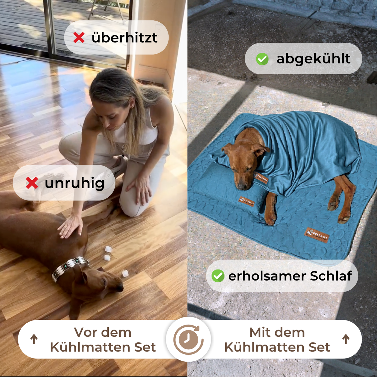 Pelsbarn Kühlmatte (1+1) Komplettes Set