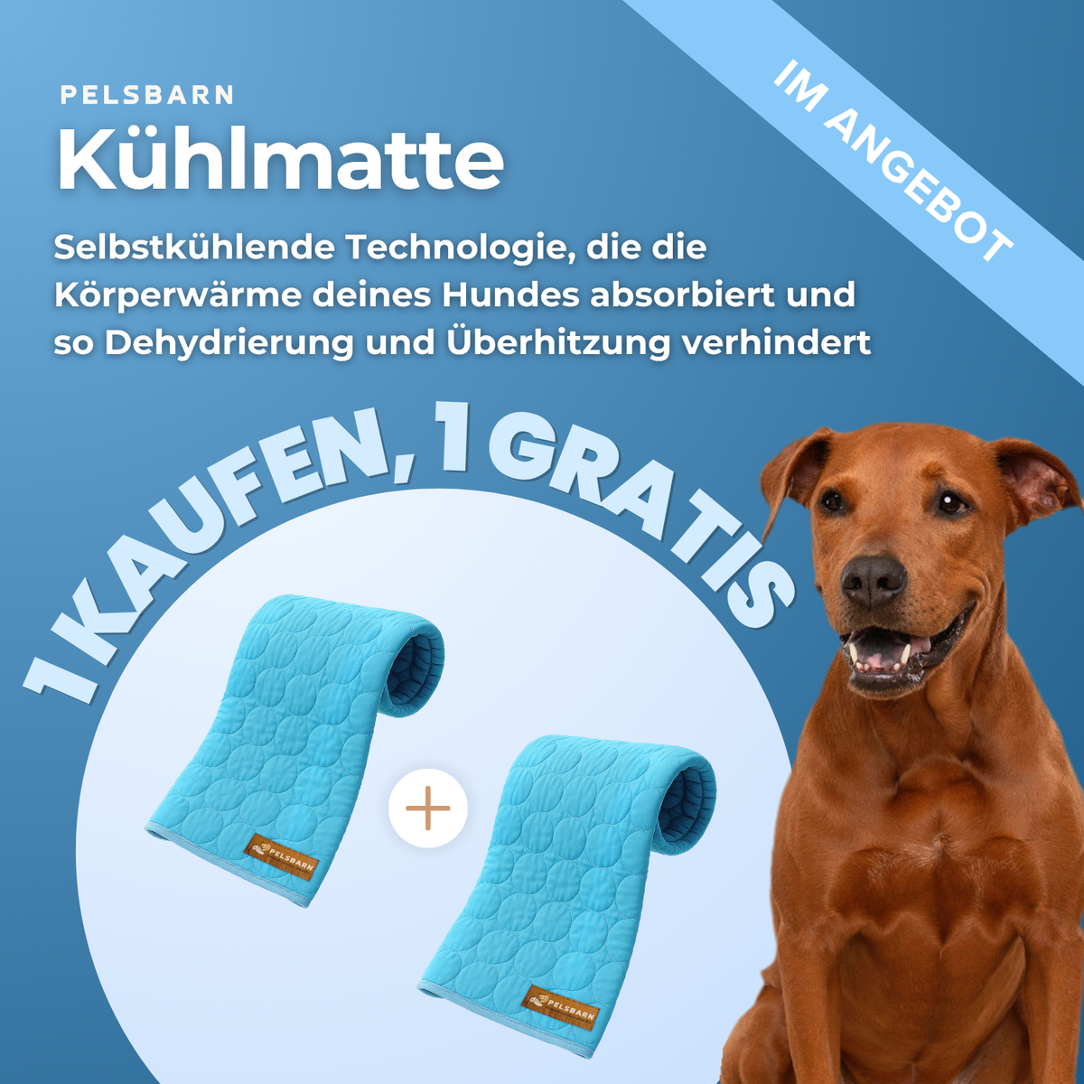 Pelsbarn Kühlmatte (1+1) Komplettes Set