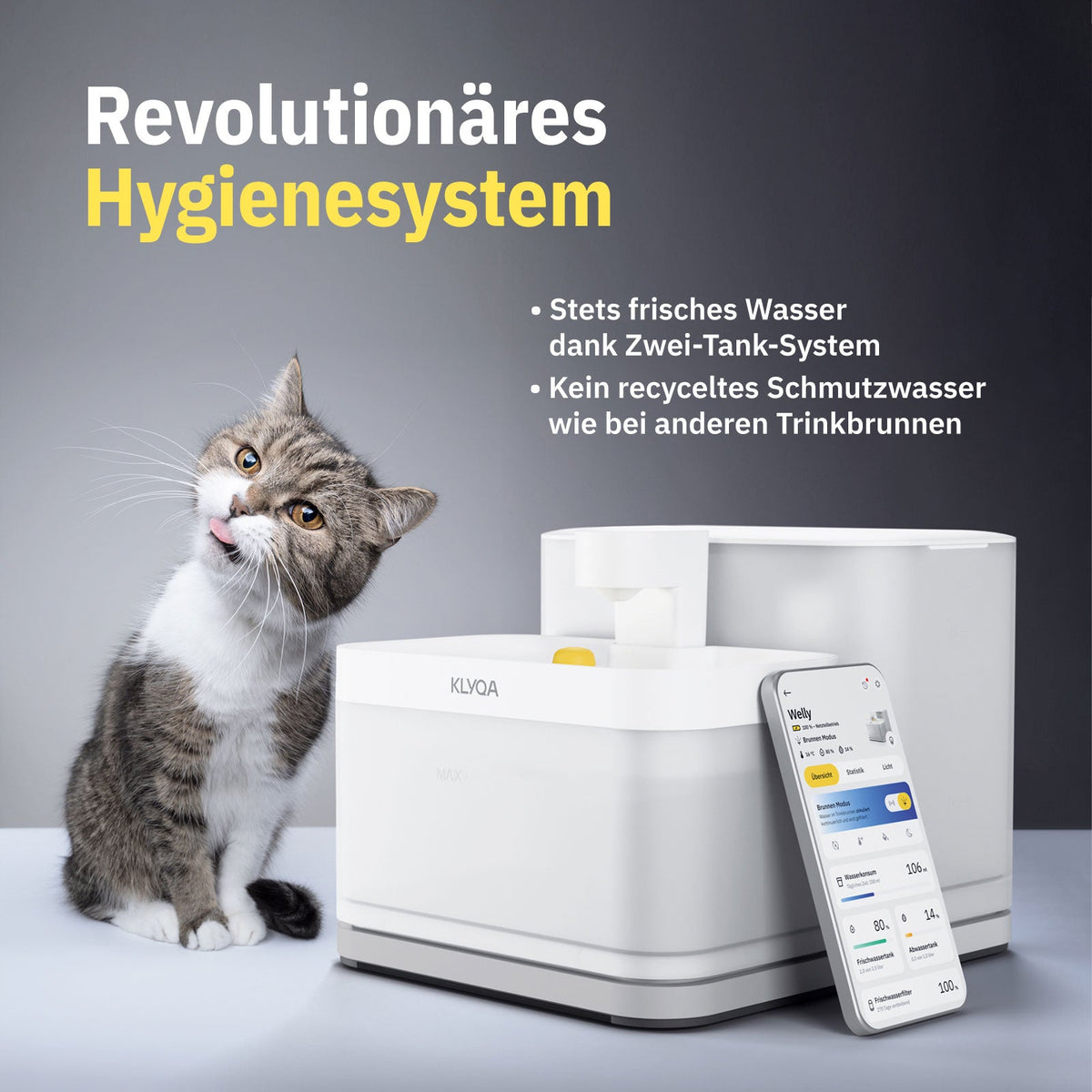 Welly – Smarter Katzen-Trinkbrunnen – jetzt günstiger vorbestellen!