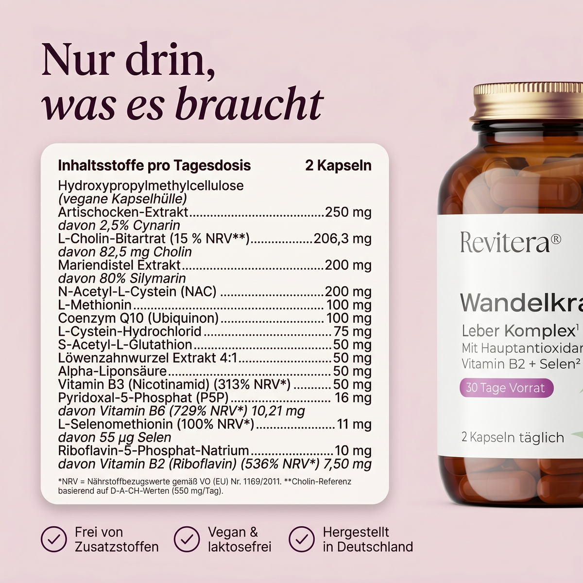 Wandelkraft
