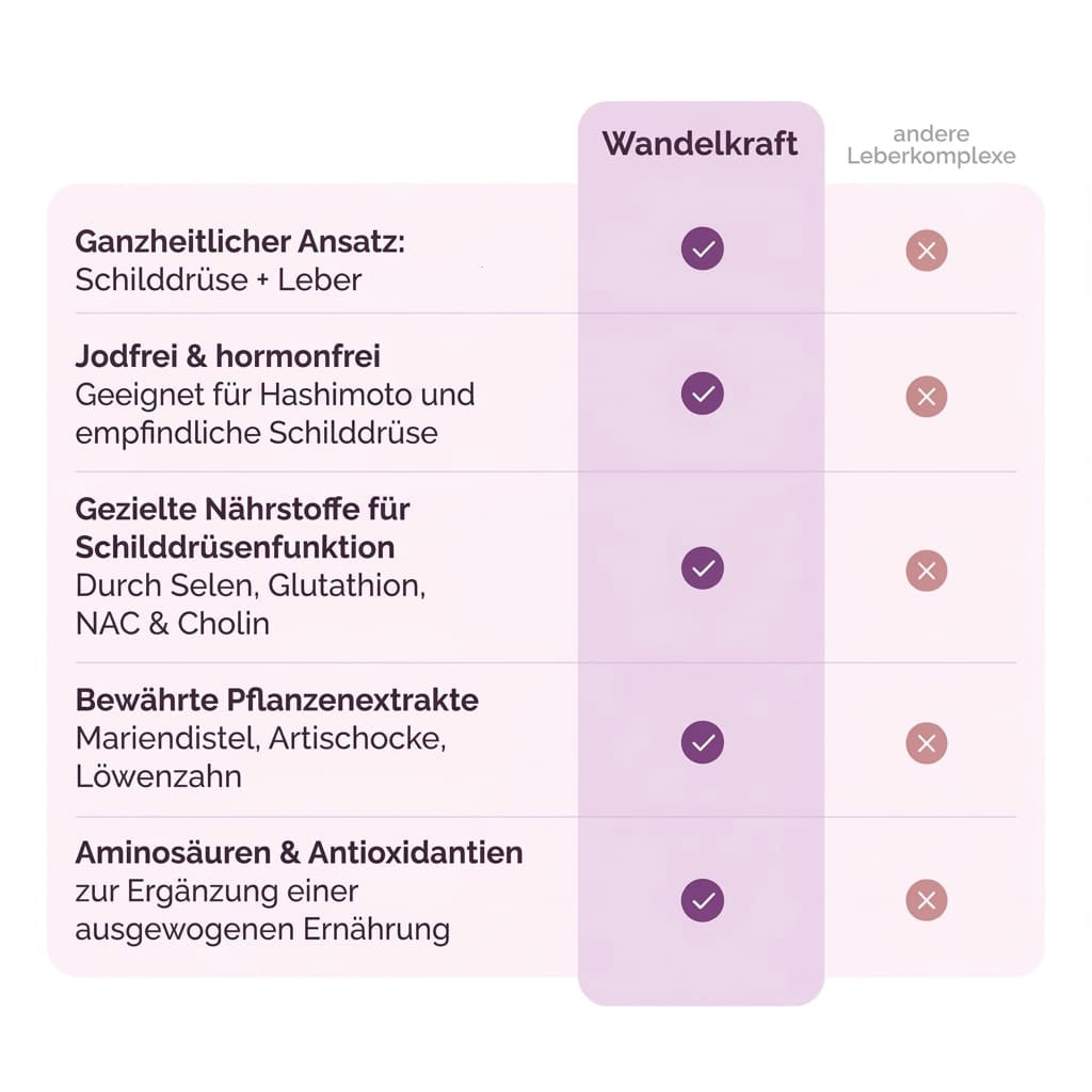Wandelkraft