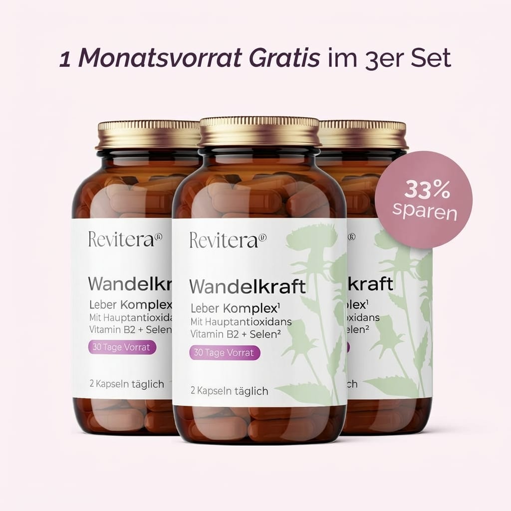 Wandelkraft