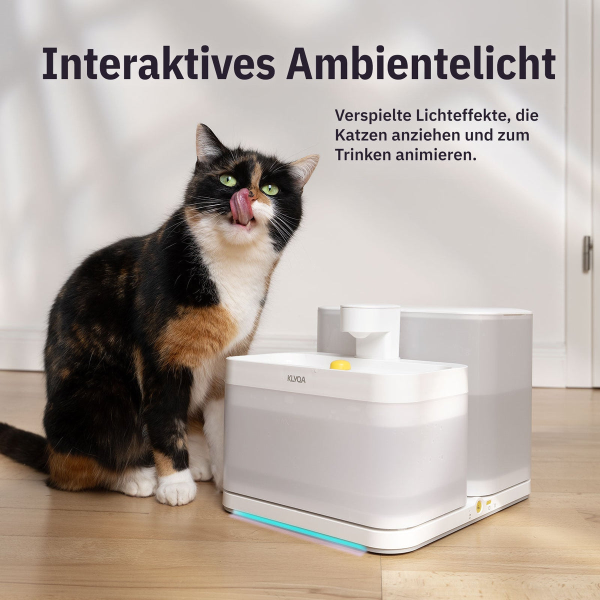 Welly – Smarter Katzen-Trinkbrunnen – jetzt günstiger vorbestellen!