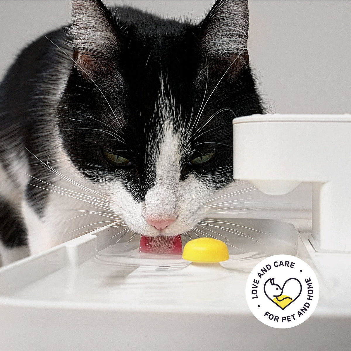 Welly – Smarter Katzen-Trinkbrunnen – jetzt günstiger vorbestellen!