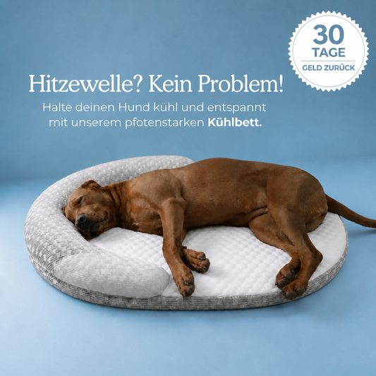 CoolFriend Kühlbett